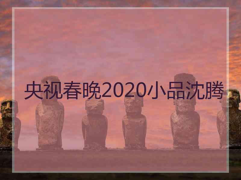 央视春晚2020小品沈腾