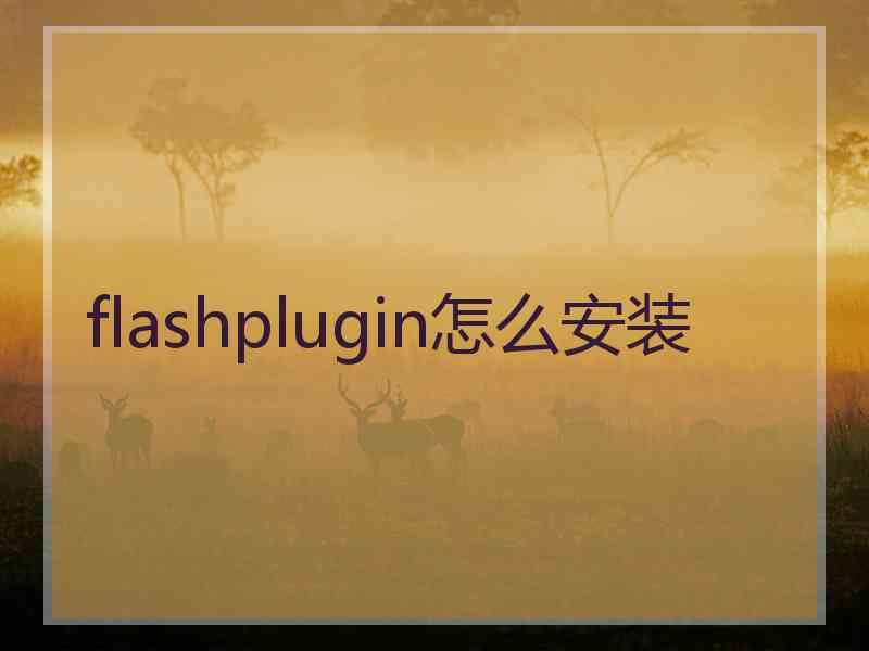 flashplugin怎么安装