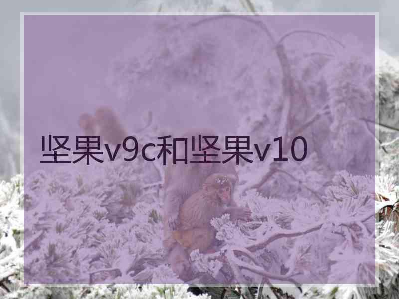 坚果v9c和坚果v10