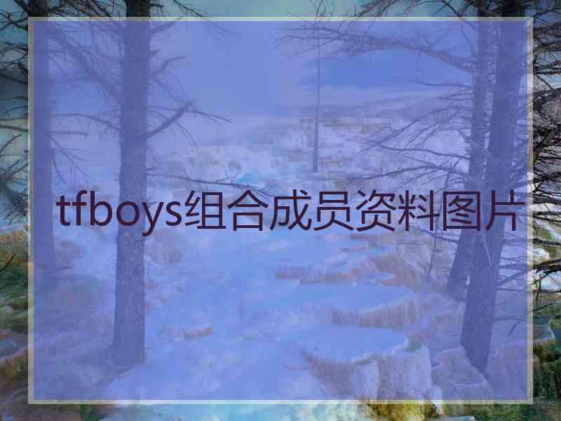 tfboys组合成员资料图片