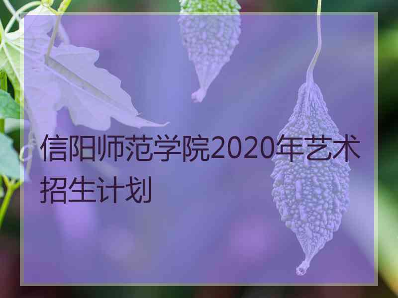 信阳师范学院2020年艺术招生计划