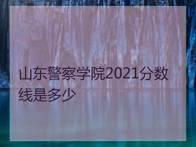 山东警察学院2021分数线是多少