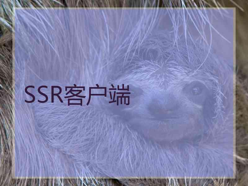 SSR客户端