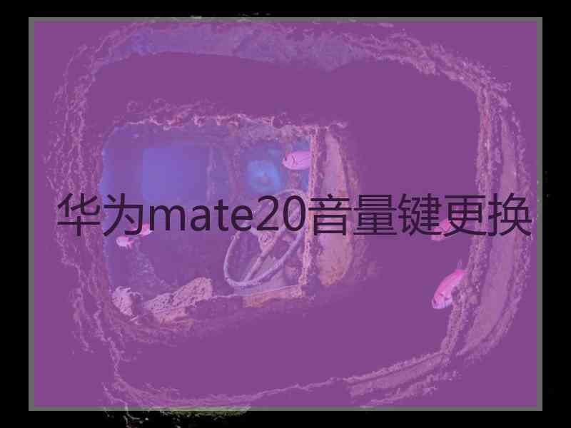 华为mate20音量键更换