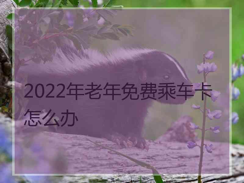 2022年老年免费乘车卡怎么办