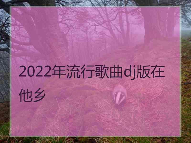 2022年流行歌曲dj版在他乡