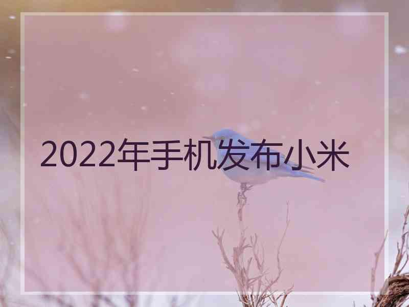 2022年手机发布小米