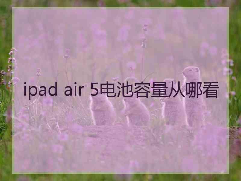 ipad air 5电池容量从哪看