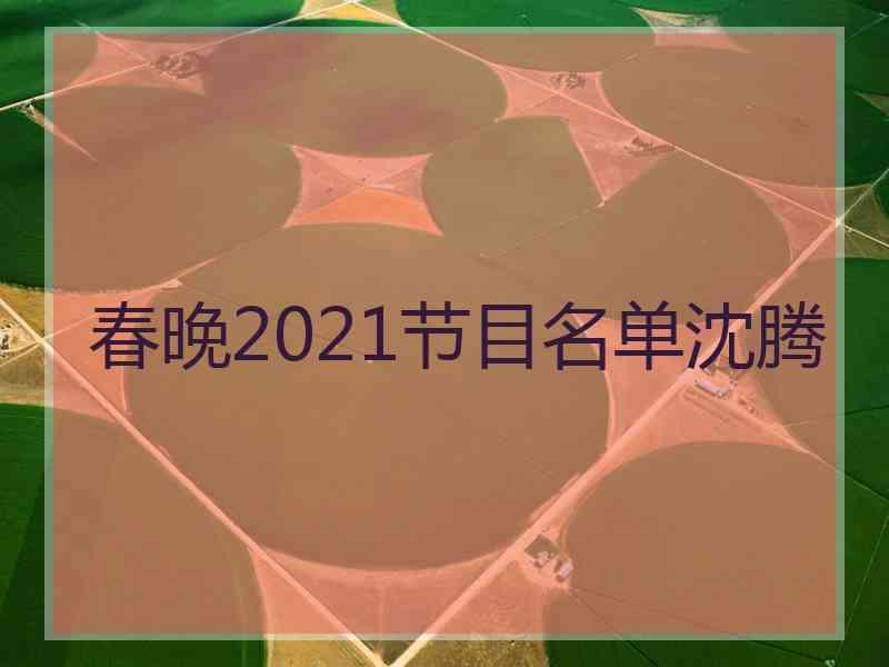 春晚2021节目名单沈腾