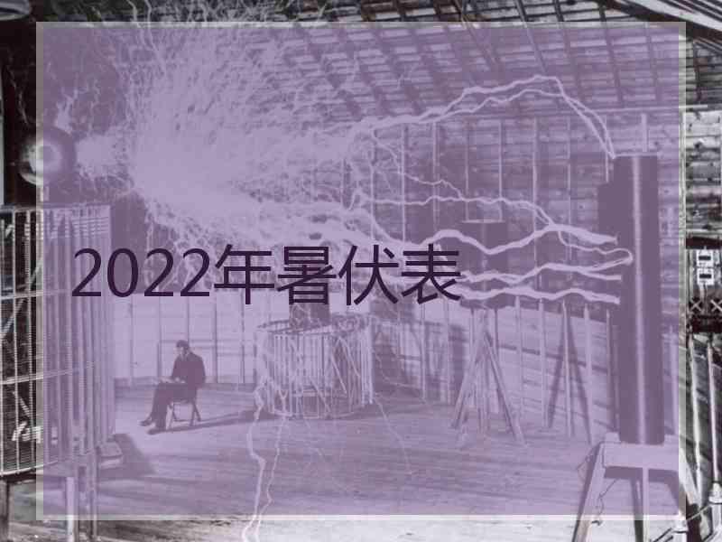 2022年暑伏表