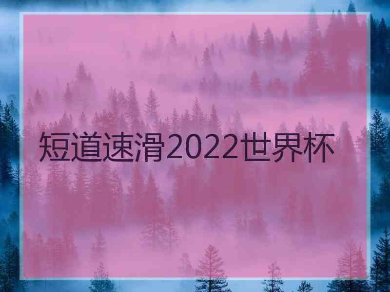 短道速滑2022世界杯