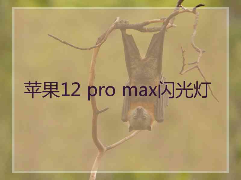 苹果12 pro max闪光灯