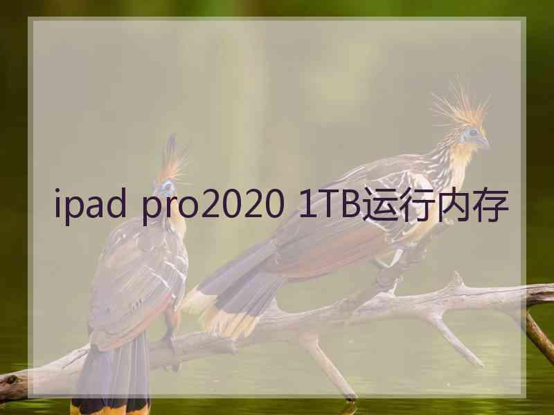 ipad pro2020 1TB运行内存