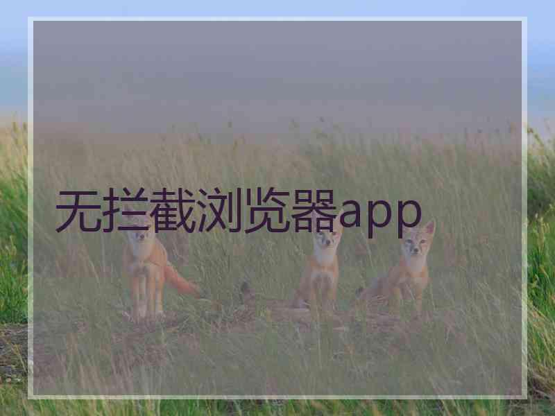 无拦截浏览器app