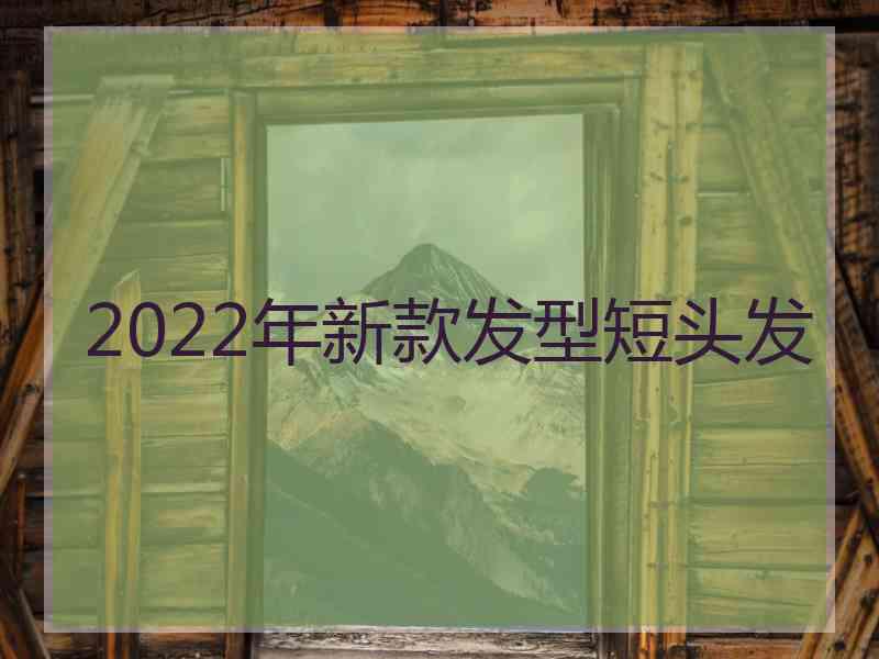 2022年新款发型短头发