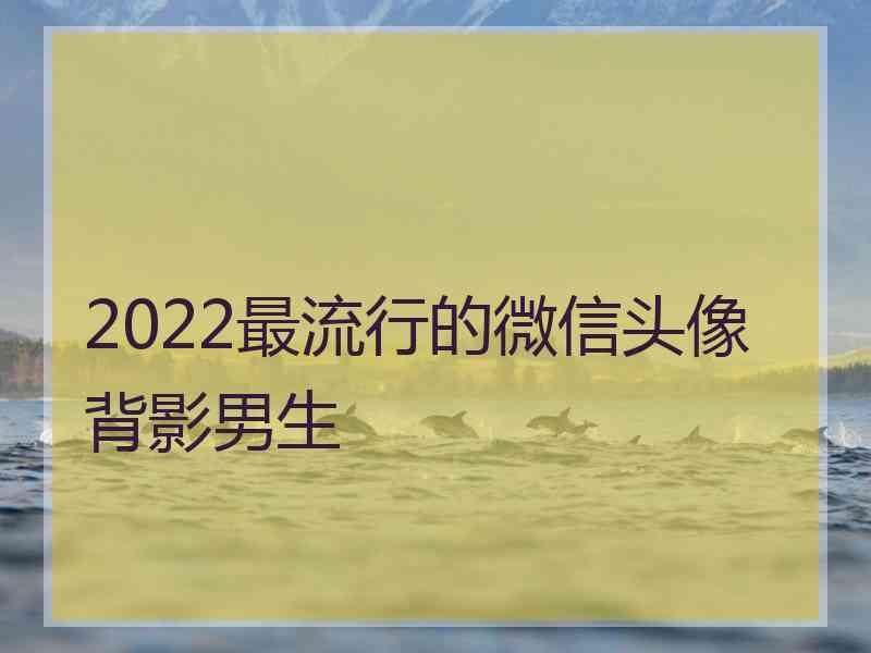 2022最流行的微信头像背影男生