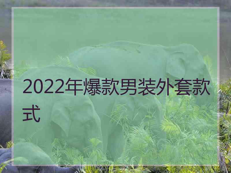 2022年爆款男装外套款式