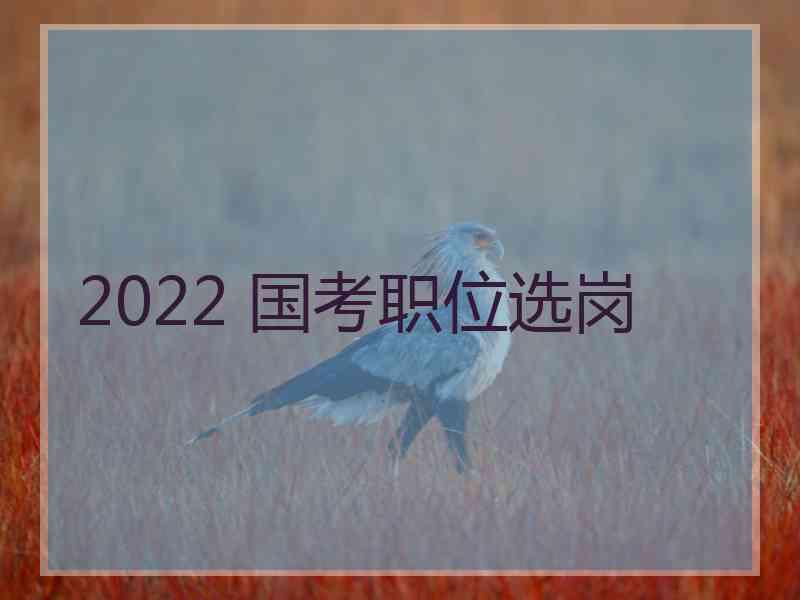 2022 国考职位选岗