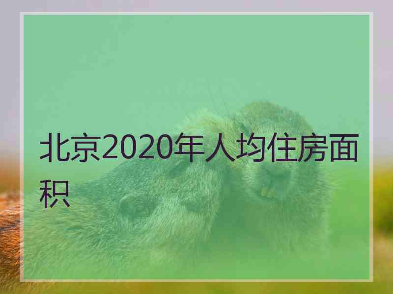 北京2020年人均住房面积