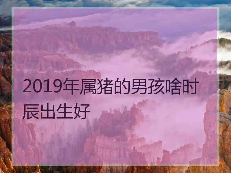 2019年属猪的男孩啥时辰出生好