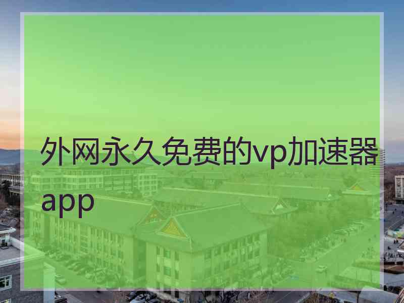 外网永久免费的vp加速器app