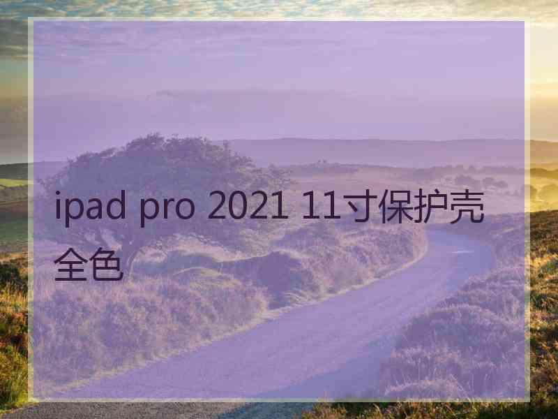 ipad pro 2021 11寸保护壳全色