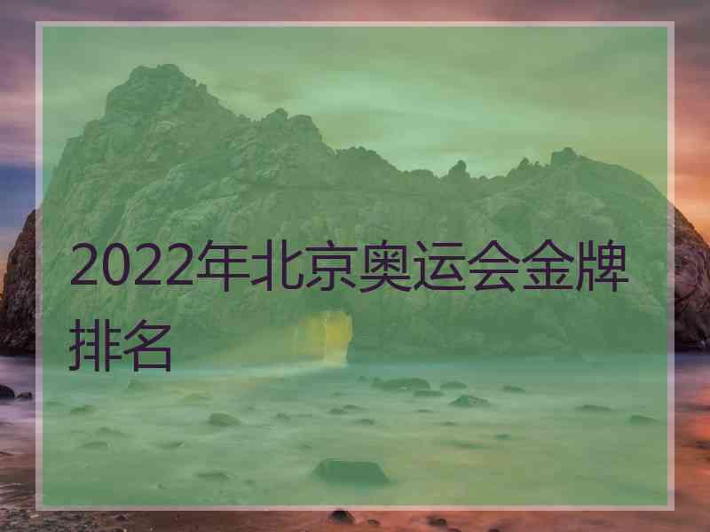 2022年北京奥运会金牌排名