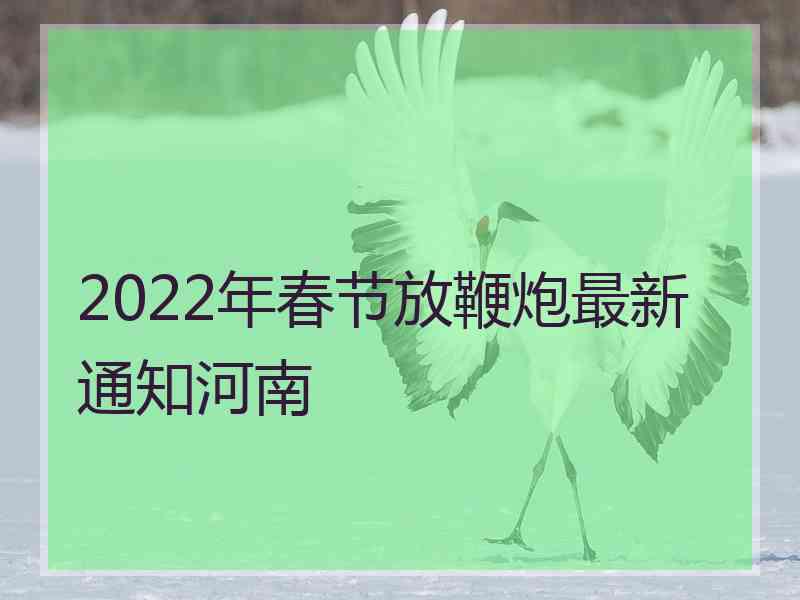 2022年春节放鞭炮最新通知河南