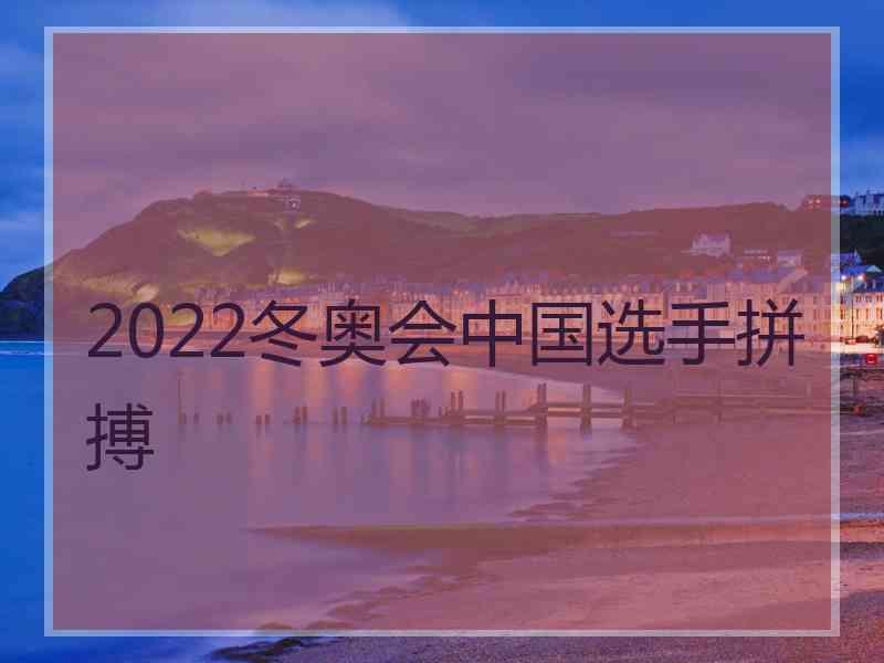 2022冬奥会中国选手拼搏