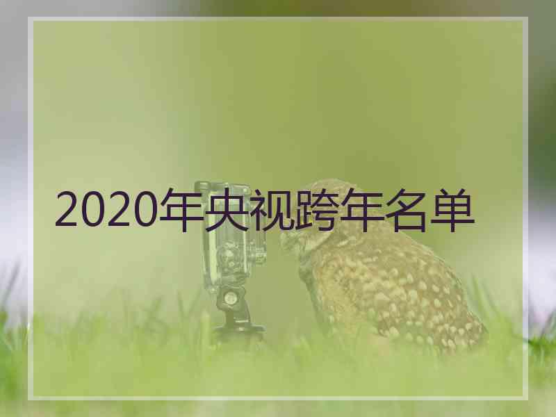 2020年央视跨年名单