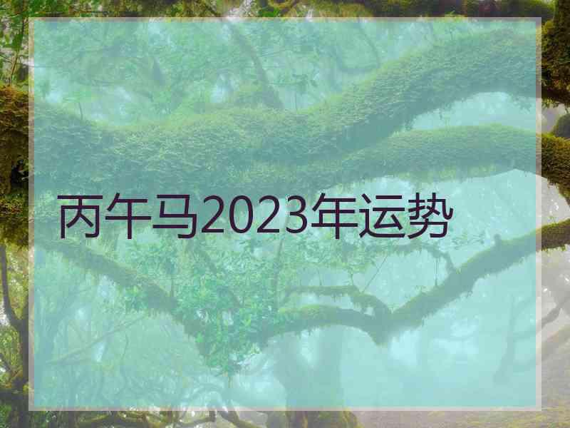 丙午马2023年运势