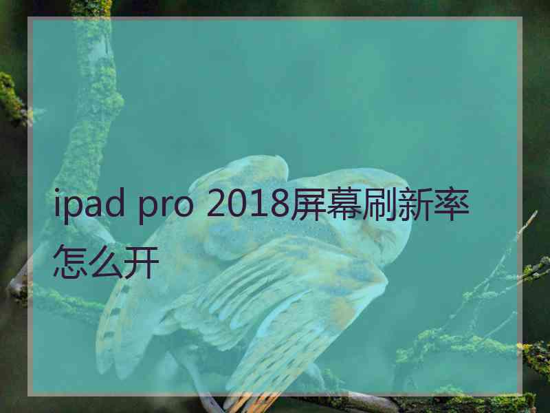 ipad pro 2018屏幕刷新率怎么开