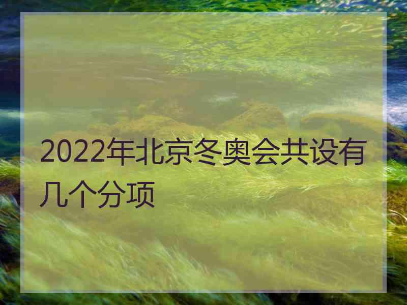 2022年北京冬奥会共设有几个分项