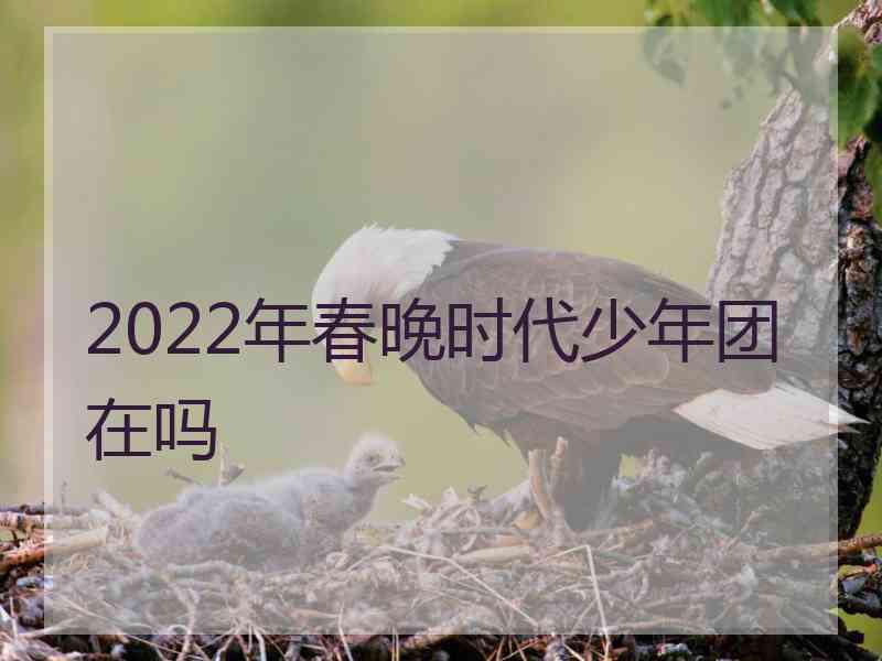 2022年春晚时代少年团在吗