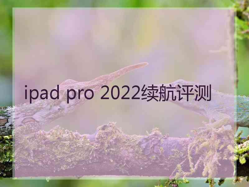 ipad pro 2022续航评测