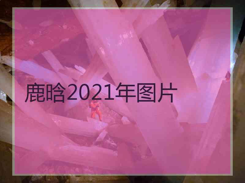 鹿晗2021年图片