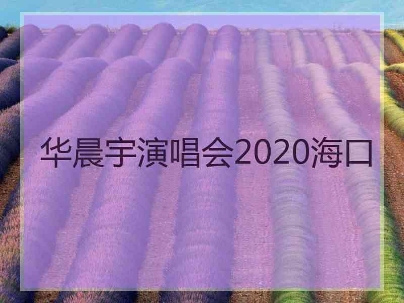 华晨宇演唱会2020海口