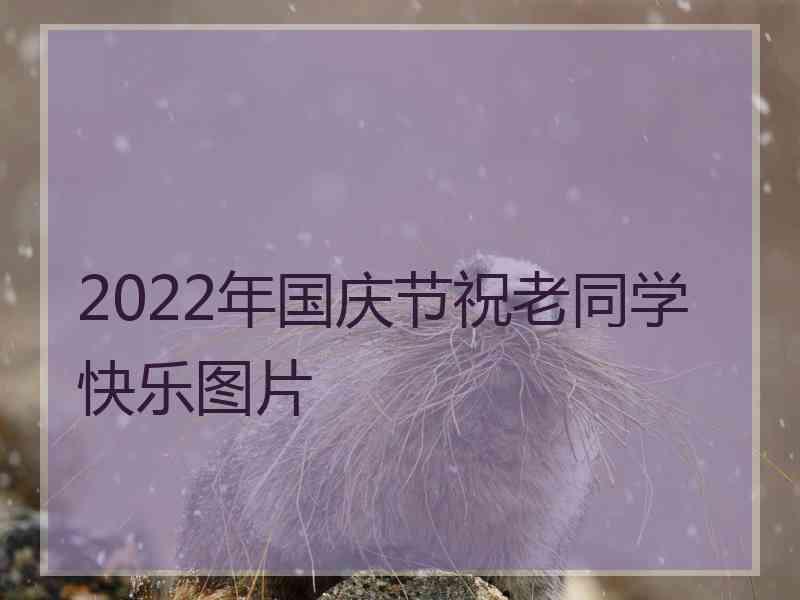 2022年国庆节祝老同学快乐图片