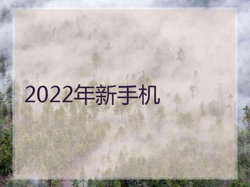 2022年新手机