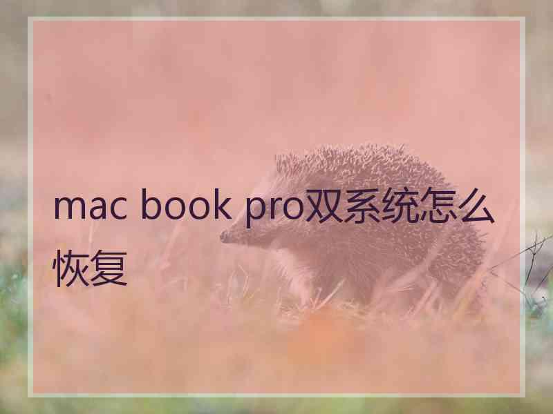 mac book pro双系统怎么恢复