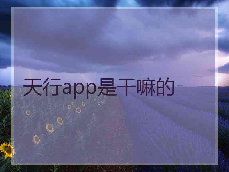 天行app是干嘛的