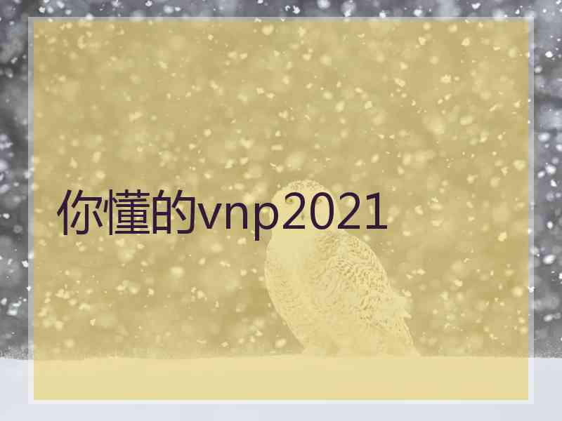 你懂的vnp2021