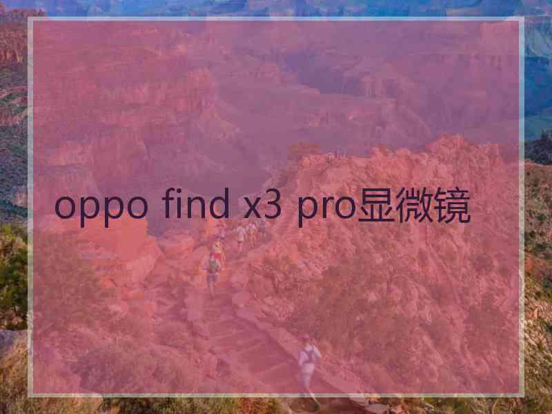 oppo find x3 pro显微镜