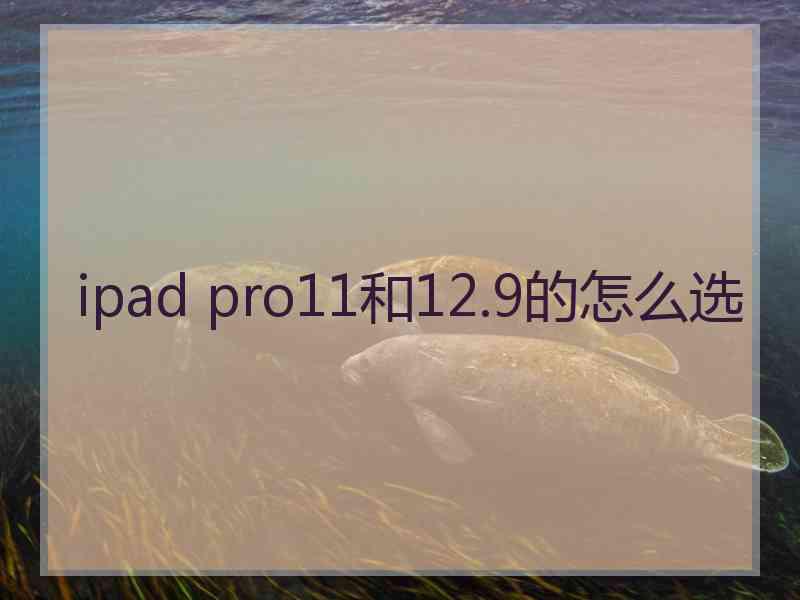 ipad pro11和12.9的怎么选