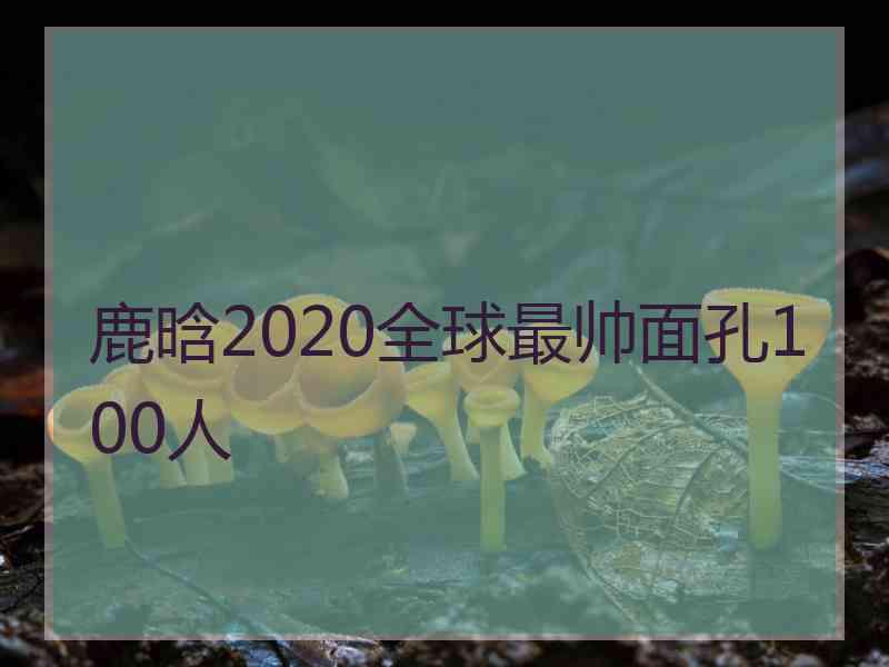 鹿晗2020全球最帅面孔100人