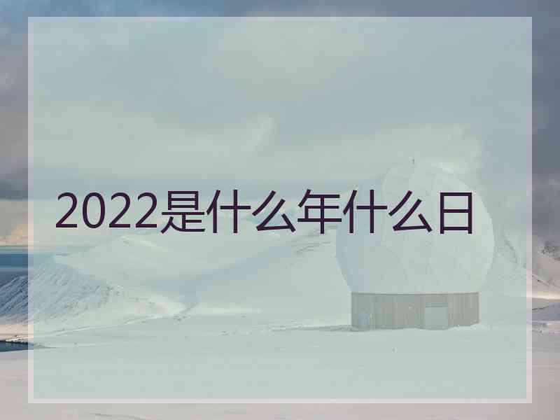 2022是什么年什么日