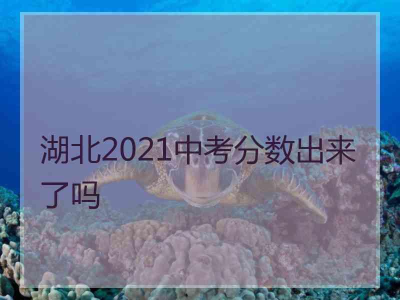 湖北2021中考分数出来了吗