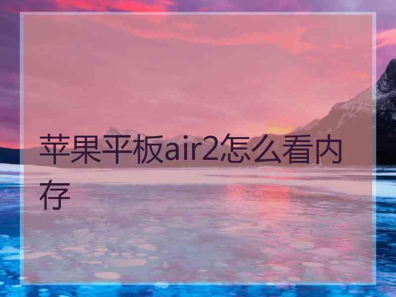 苹果平板air2怎么看内存