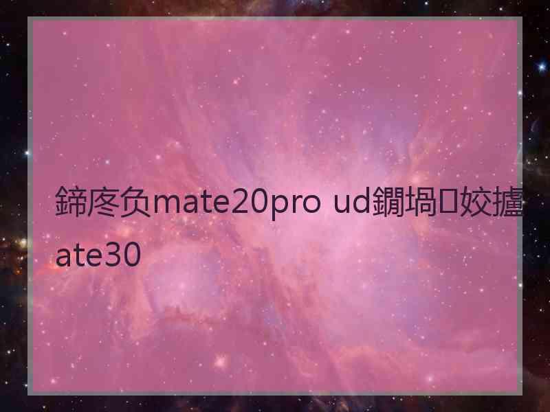 鍗庝负mate20pro ud鐗堝姣攎ate30