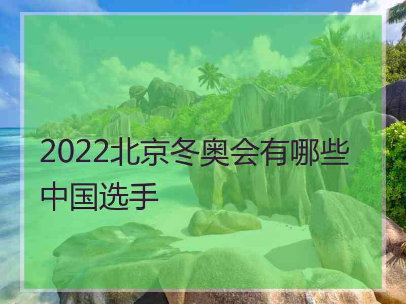 2022北京冬奥会有哪些中国选手